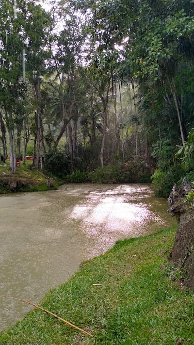 Pesque Pague São Pedro - Foto 10