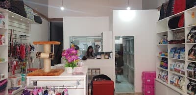 Nosso Pet - Foto 2