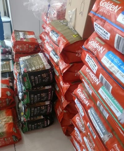 Nosso Pet - Foto 6