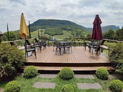 Osteria La Campagnaga - Foto 4