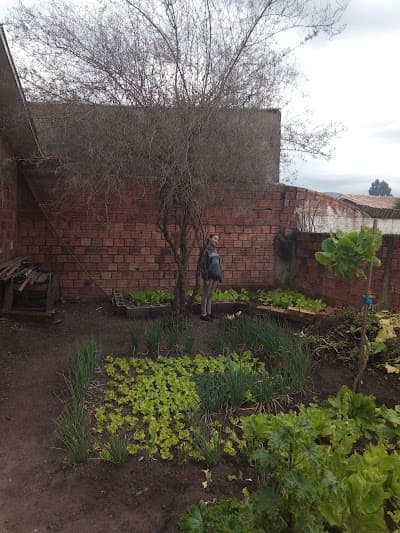 Topburguer - Foto 2