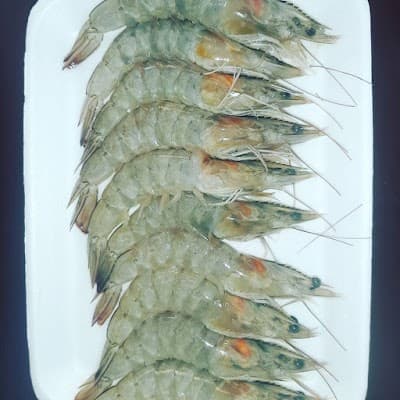 Fish Mania Pescados - PEIXARIA ONLINE - Foto 5
