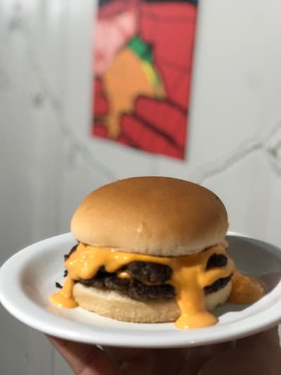 Gu's smash burguer - Foto 5