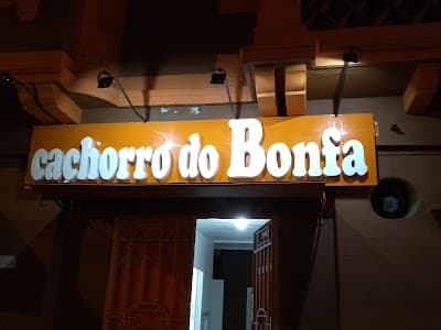Cachorro do Bonfa - Foto 10