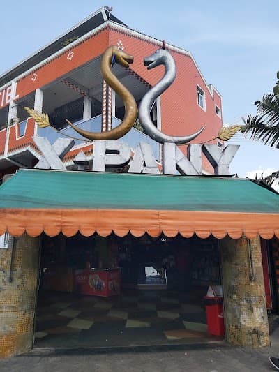 X-Pany - Foto 1