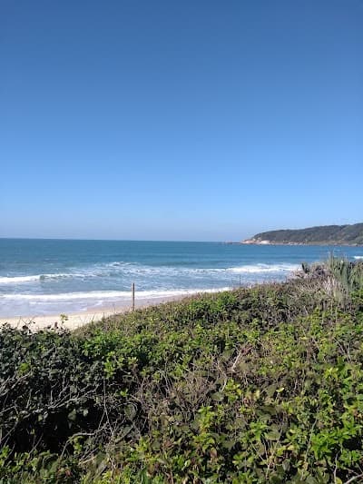 Beleza Pura - Foto 9