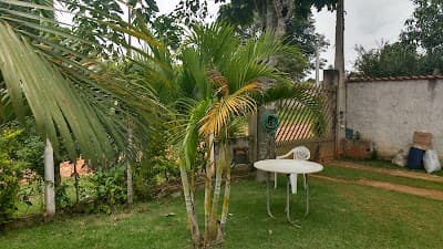 Bar e Mercearia Sueli de Aracoiaba Ltdame - Foto 3