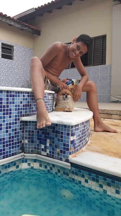 Bar e Mercearia Sueli de Aracoiaba Ltdame - Foto 7