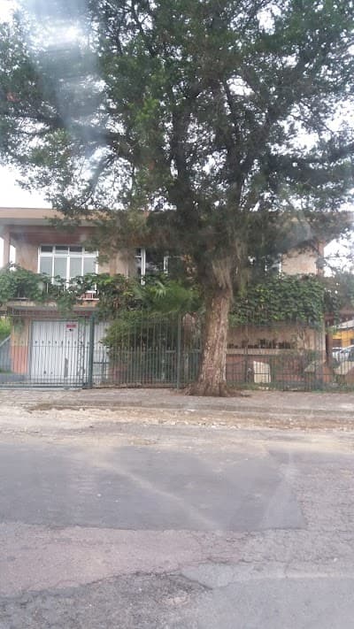Transportadora Santa Felicidade - Foto 3