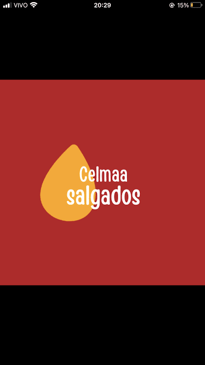 Celma Salgados - Foto 6