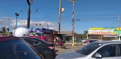 foques lanches - Foto 5