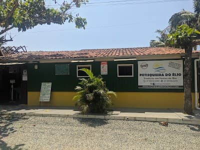 Petisqueira do Élio - Foto 6