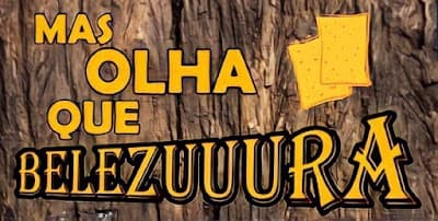 Belezuuura Pastéis - Foto 2