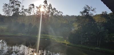 Rancho Portela - Foto 5