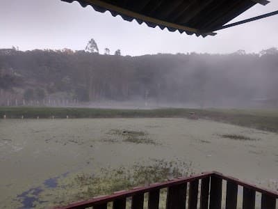 Rancho Portela - Foto 6