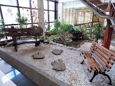 Alven Hotel by Slaviero Hotéis - Foto 7