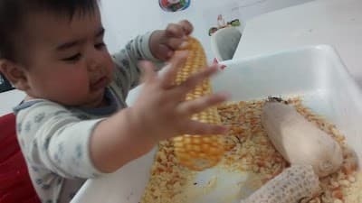 Lanchonete e Caldo de Cana Girassol - Foto 5