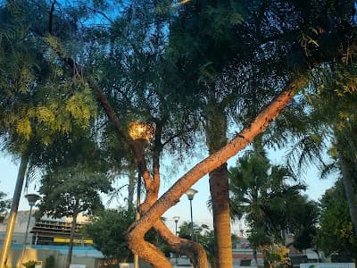 Sorveteria Central Agudos - Foto 5