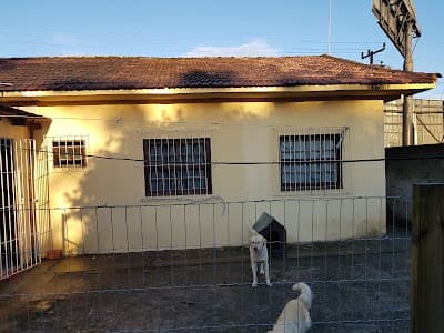Restaurante Caminho das Praias - Foto 10