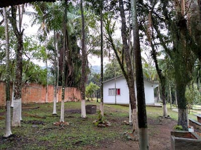 Automovel Clube - Foto 4