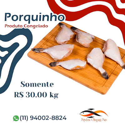Pescados bairro do Limão - Foto 8