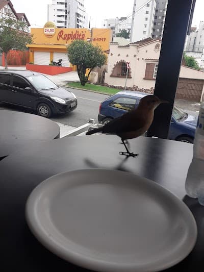 Rapidità Pizzaria - Unidade Ahú - Foto 2