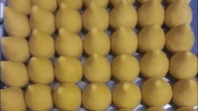 Coxinhas Gourmet da Loba - Foto 3
