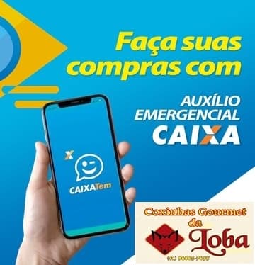 Coxinhas Gourmet da Loba - Foto 7