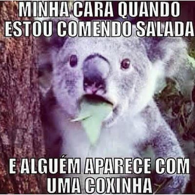 Coxinhas Gourmet da Loba - Foto 10