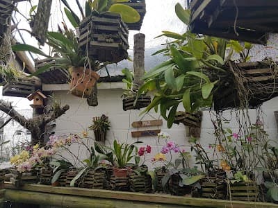 Café Colonial Schutz - Foto 7