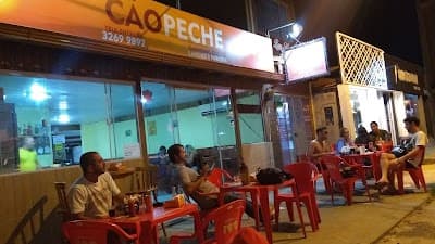 caopeche lanches e Dog’s - Foto 3