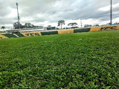 Brasão do Colosso - Foto 3