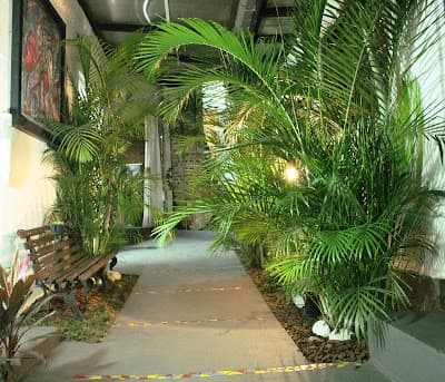 Centro Cultural Espaço de Arte - Foto 5