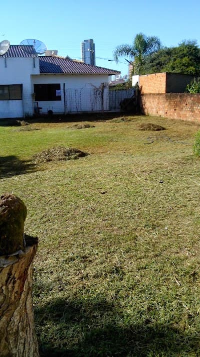 Lanchonete JC - Foto 4