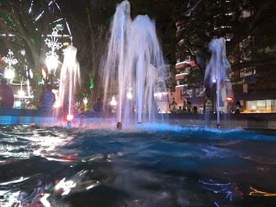 Bob's - Foto 7