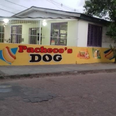 Pacheco's Dog - Foto 1