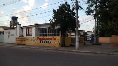 Pacheco's Dog - Foto 4