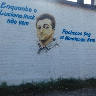Pacheco's Dog - Foto 5