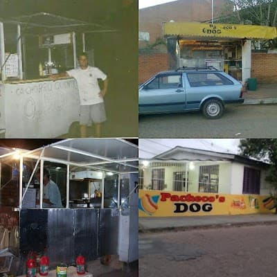 Pacheco's Dog - Foto 7