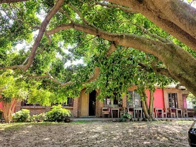 Cantina da Figueira - Foto 6