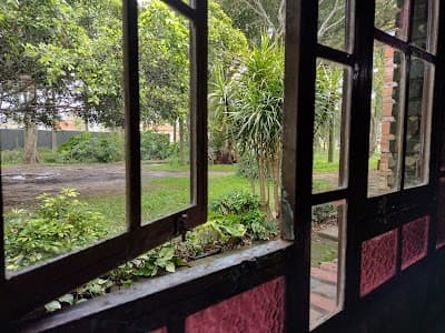 Cantina da Figueira - Foto 7