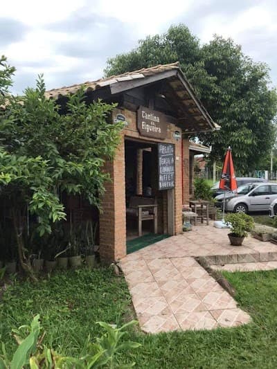 Cantina da Figueira - Foto 10