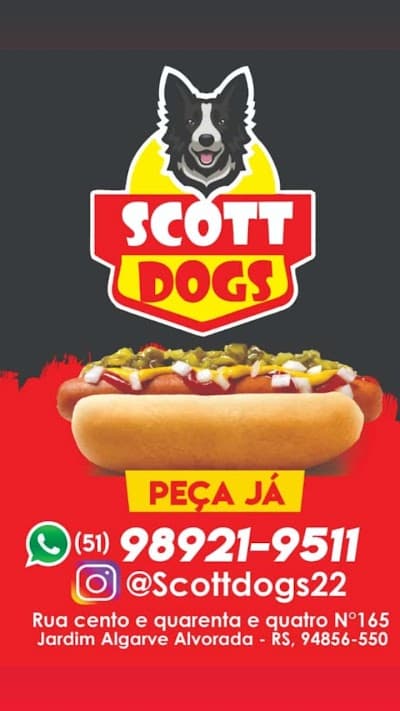 SCOTT D🌭GS - Foto 3