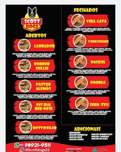 SCOTT D🌭GS - Foto 4