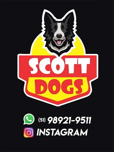 SCOTT D🌭GS - Foto 5
