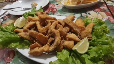 Tilapiaria - Foto 3