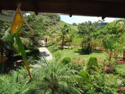 Sitio França - Foto 3