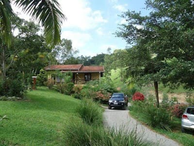 Sitio França - Foto 6