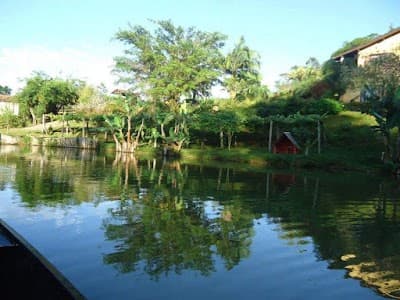 Sitio França - Foto 7