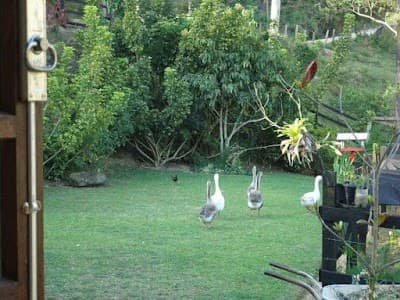 Sitio França - Foto 10